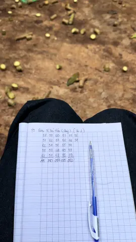 Sáng đi zườn tối còn ở kho ... Cày cỡ đó mà vẫn không thấy dư..... #xuhuongtiktok #côthưký #đăklăk #viral #phướcankrôngpăk 