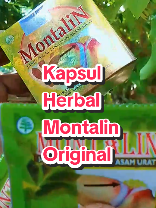 Kapsul Herbal Montalin Original #kapsul#herbal#montalin#original