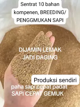 JUAL SENTRAT PREMIUM, SAPI JADI GEMUK, DAGING MAKIN PADAT.  #promoseruweekend #murahnikmatlezat #viral_video_tiktok_treding #l_video_foryou_foryourpage #fypシ 