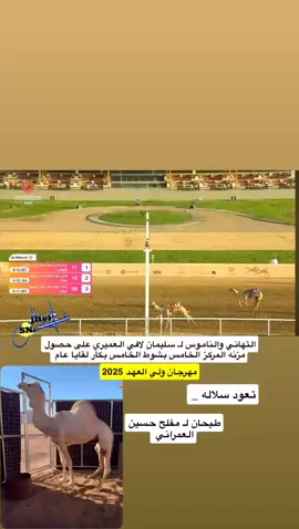 #مشالله_تبارك_الله #الناموس #هجن_الحويطات #تبوك_الورد_تبوك_تيماء_ضباء_حقل #مهرجان_ولي_العهد_للهجن_الطائف 