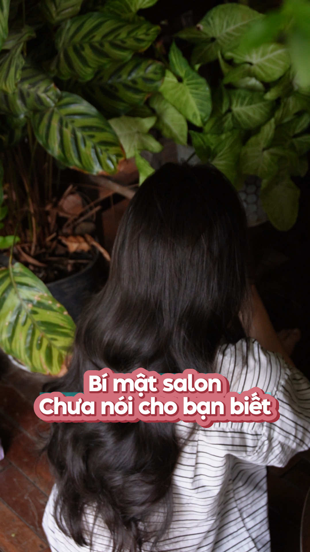 Bí mật cho mái tóc óng mượt, điều mà salon chẳng muốn chị em biết… Xem tới cuối clip là hiểu vì sao nhé!  #xittoc #BKeratin #TheJungleHerbs #TJHs #thaomocrung 