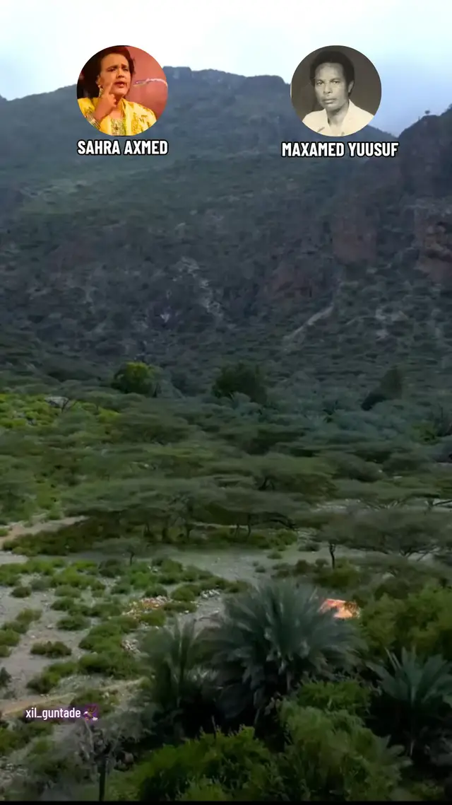 #xil_guntade #somalitiktok #muqdishotiktok🇸🇴🇸🇴❤ #somalitiktok2023🇸🇴🇸🇴😍❤️ #somalitiktok12 