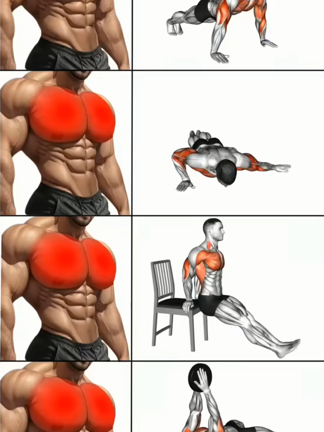 Chest Workout 💪🔥 #muscle #exercise #Fitness #fit #gym #fitnesstips #workoutmotivation #workoutchallenge #Chestday #Chestworkout
