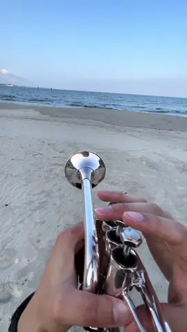 One piece 🏴‍☠️ #吹奏楽 #trumpet #トランペット #ルフィ #ワンピース 