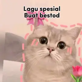 #Meme #MemeCut #CapCut 