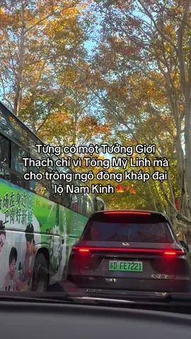 Nam Kinh đẹp lắm mọi người ơiiii#chinatravel #dulichtrungquoc  #fyp #namkinh #cayngodong 