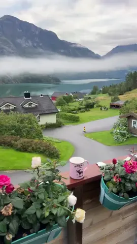 Hum pyaar hain tumhare❤Norway🇳🇴 🧢📷