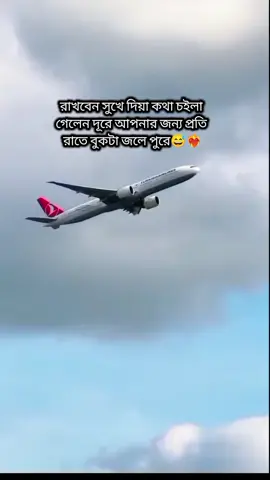 প্রবাসীর বউরা একটু সারা দিয়ে যাও😅❤️‍🔥 #প্রবাসী #প্রবাসীবউ #প্রবাসীগান #foryou #foryoupage 