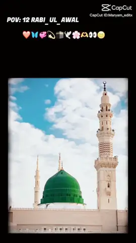 #12ravi_ul_awwal #specialdayforallmuslimsfyppppppppppppppppppp 