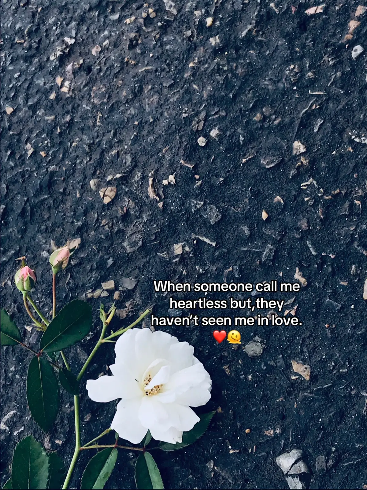 When someone call me heartless but,they haven’t seen me in love.❤️🫠