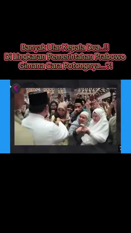 Banyak Ular Kepala Dua..!! Di Lingkaran Pemerintahan Prabowo: Gimana Cara Potongnya...?! #front_t8m 