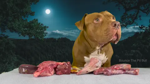 Can You Watch Without Getting Hungry?