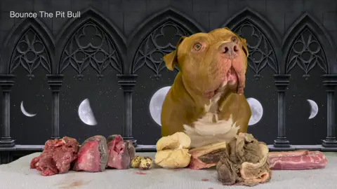 Which Bite Sounds the Best to You?