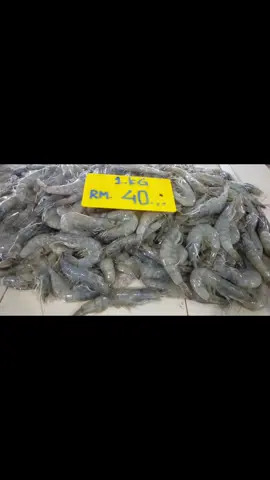 Heng Heng menyala 🔥🔥🔥semoga berkah selalu..