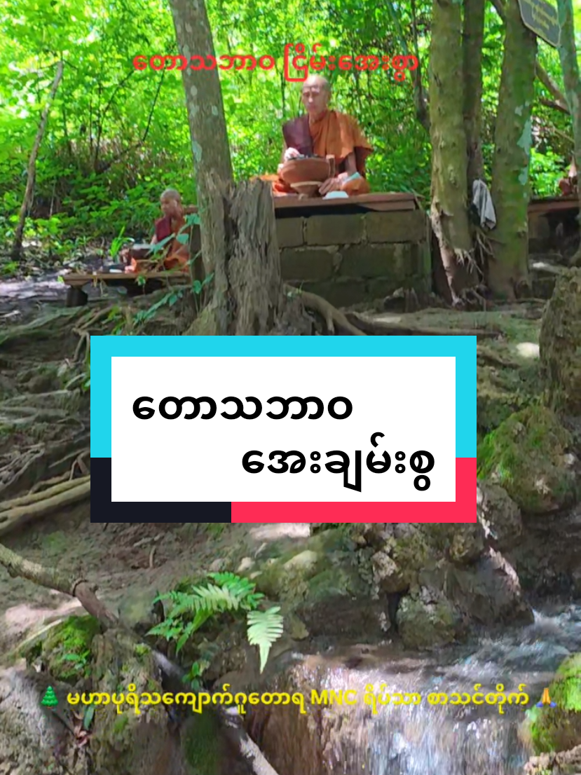 တောသဘာဝ အေးချမ်းစွ  🌲🍁#မဟာပုရိသကျောက်ဂူတောရ MNC ရိပ်သာ စာသင်တိုက် 🌿 #ပြင်ဦးလွင်     #ပိတ်ချင်းမြောင်ရေတံခွန်နှင့်             ( ၃ ) #မိုင်ခန့်အကွာ           #ပြင်ဦးလွင်  -     ၊         ၅၇/ ၁ ၊🌲    ၊   ။ 🍁  ☎  09665357623 , 09681502828 ,          09670010068 , 09672000336 ,    🌲 MNC ရိပ်သာ Google မြေပုံ https://maps.app.goo.gl/Gu22ZiyfFmTMyjJe6