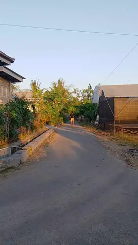 #layanganputus #pelayangmadura #bintangmadura #pelayangindonesia 