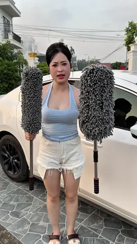 Chổi lau rửa xe hơi ! 