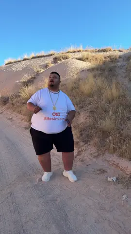 Level 1 Mountain. Where do you think the next level is? Train, plane, ship 🤪🤪🤪      @99esim.com #işbirliği #skibididopdopdopyesyesyesyesnononono #dopdopyesyes #skibididop #skibiditoilet 