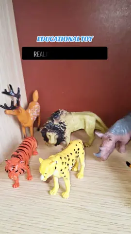Small Size Dinosaurs Ocean Wild Replite Farm Animals Toy Assorted Rubber Figures Educational Simulation Kids Children Toy Model Dinosaur Toys figures Hand Painted Realistic Dinosaurs Toys. #educationaltoys #toysforkids #animaltoys #farmanimals #fyppppppppppppppppppppppp 