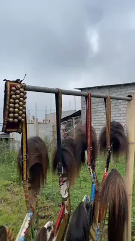 sewa by @moassdefaaa. #jaranantemanggungan #jarankepang #fyp 