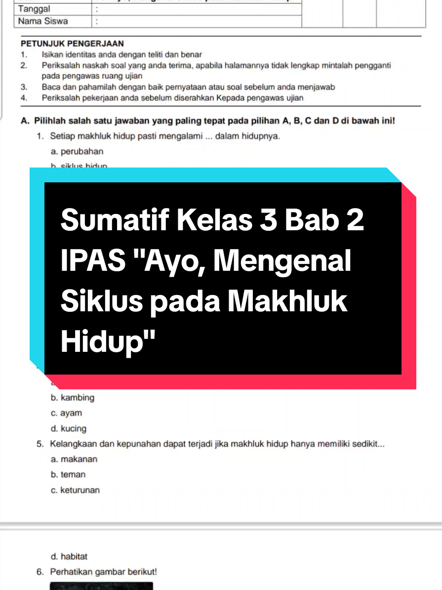 Soal Sumatif IPAS Kelas 3 Bab 2 