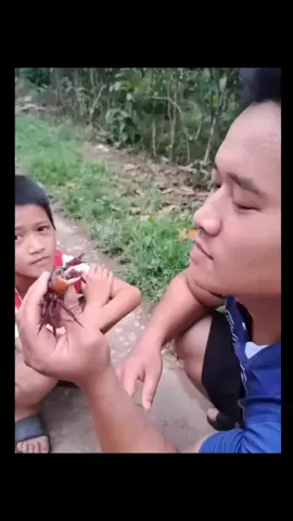 #cười #giaitritonghop  #haihuocvuinhon  #cuoibebung  #vui 