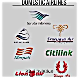 Sriwijaya Air Flight 182#fyp #aviation #sriwijayaair #flight182 