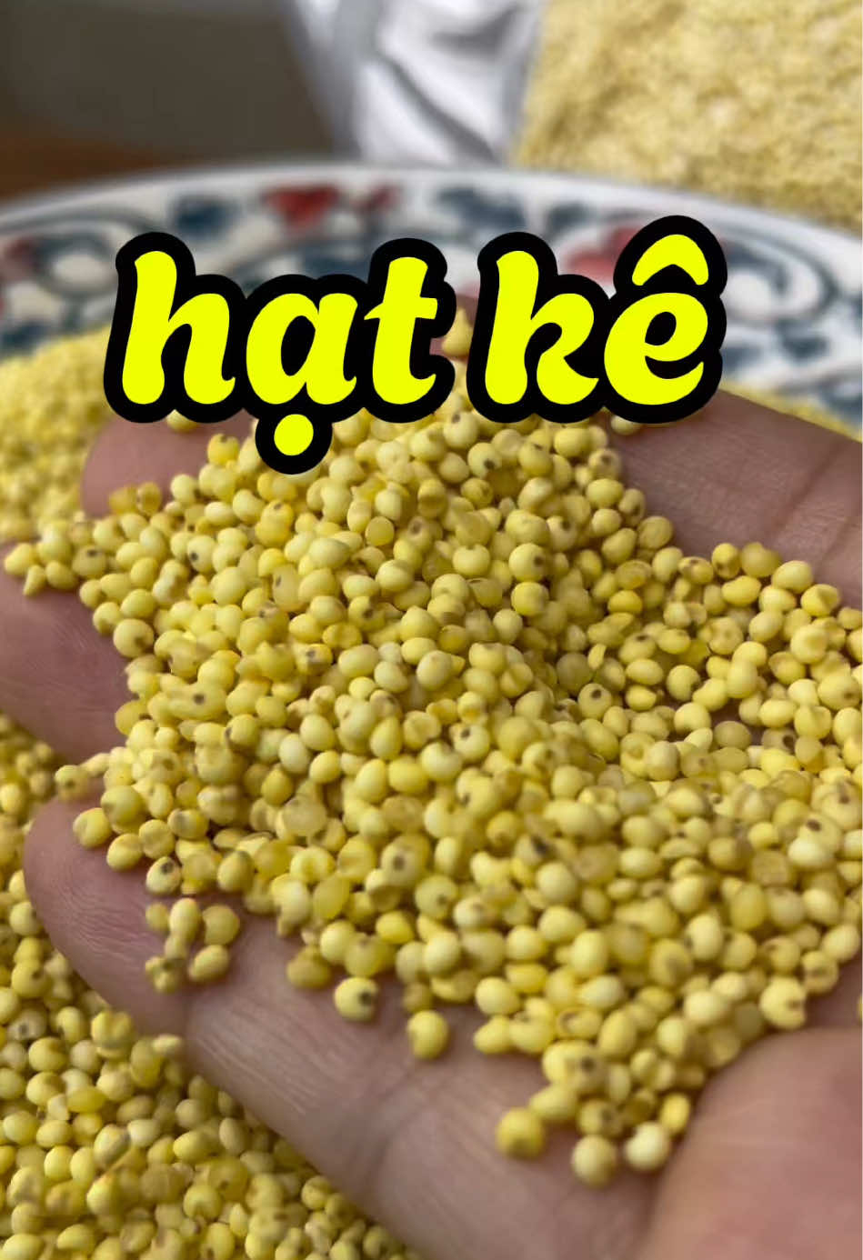1kg hạt kê nếp vàng Nghệ An #hạtkê #hạtkênếp 