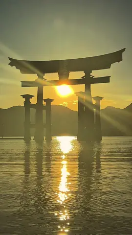 見て後悔させない夕陽をお届けします                                                                             厳島神社を照らす夕陽も鳥居から覗く神々しい夕陽もその全てが立ち尽くす程に美しかった                              #夕陽 #厳島神社 #神社 #広島 #宮島 