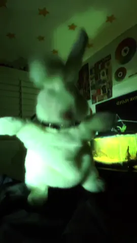 psychosocial - slipknot  ★ @Slipknot #bunny #metal #slipknot #slipknotfans #slipknoeforever #puppetry #fyp 