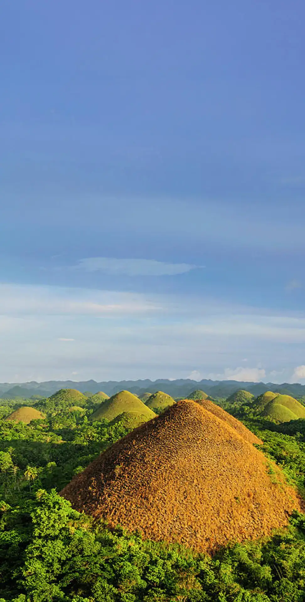1. Chocolate Hills A world-famous geological wonder with over 1,200 cone-shaped hills that turn brown during the dry season, resembling rows of chocolate mounds. It’s the iconic landmark of Bohol and a UNESCO World Heritage candidate. 2. Tarsier Sanctuary (Corella) Home to the Philippine tarsier, one of the smallest primates in the world. Visitors can see these wide-eyed nocturnal creatures up close in their natural habitat while learning about conservation efforts. 3. Loboc River Cruise A relaxing river tour with floating restaurants that offer local food and cultural performances. The lush jungle surroundings and calm waters make it one of the most scenic experiences in Bohol. 4. Panglao Island (Alona Beach) Known for its powdery white sand, crystal-clear waters, and vibrant nightlife. It’s a prime spot for snorkeling, diving, island-hopping, and unwinding by the beach. 5. Hinagdanan Cave A limestone cave with stunning stalactites and stalagmites, plus a natural underground pool where you can take a refreshing dip. Its mystical vibe makes it a unique stop on the island.
