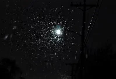 Kể từ ngày đổ vỡ ! #trucanh2004 #tamtrang #fyp #lyrisc 