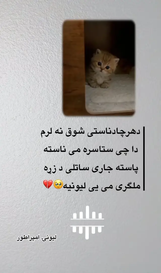 #viralvideo #foryoupage 