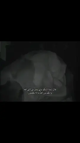 #صلاه #دعاء #قران  #بكاء_بصلاه #اجر_لشفاء_جدي #explore #fyp #صدقه_جاريه_لجميع_اموات_المسلمين 