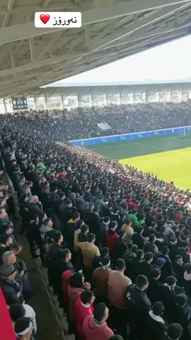 هاندەران ئەم شەو ئامادەن ....