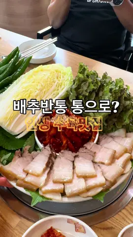 🔸간판을 보쌈맛집으로 바꿔야할 인생수육집‼️ 🇰🇷It's the best boiled pork restaurant I've ever had 여긴 또또간집~ 갈때마다 만석! 다 이유가👍 📌 보쌈 중➖30000원 📌 비빔국수➖9000원 📌 잔치국수 냉➖7000원 쌈으로배추가 반통이나 나오고 상추 깻잎이 한가득 고추도 가득, 일인 일 쌈장도 맘에 쏙듬! 동네 숨은보석맛집❤️ 쩡원장이 턱별히 공개합니다요😘 #옛날국수집  ➖대구 달서구 선원로 93 #대구 #신당동 #성서맛집 #계대맛집  