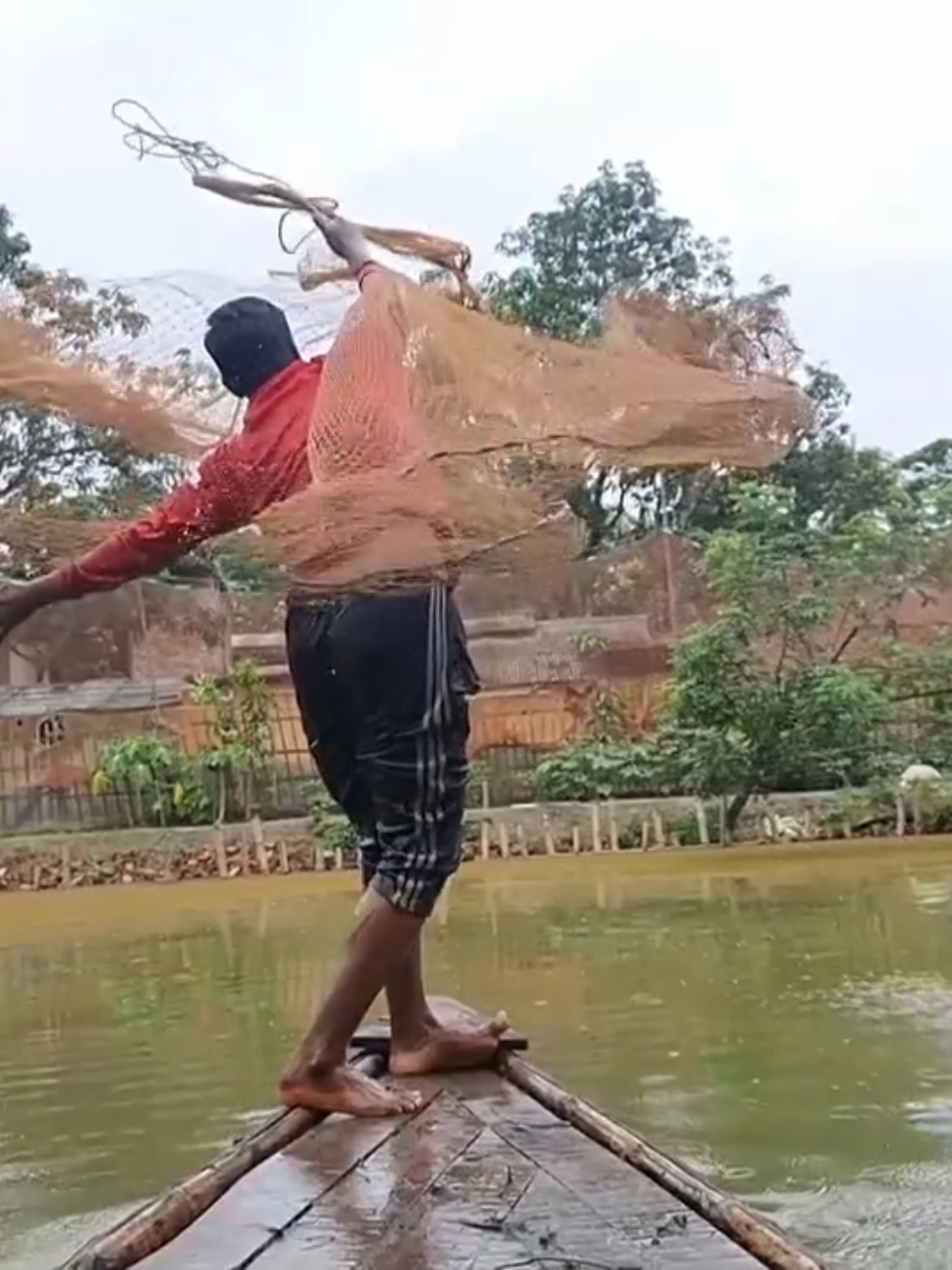 পুকুর থেকে জাল দিয়ে মাছ মারার দৃশ্য #foryou #foryoupage #fyp #viral #tiktok @TikTok Bangladesh @TikTok 