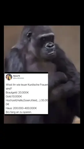 #foryou #fypシ゚ #viral #fürdichseite #ehrenkurde 