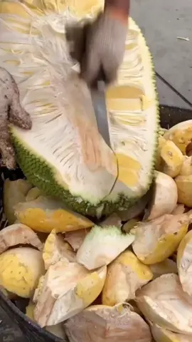 Not all fruits are equal when it comes to gut health! 🍍🍌 From papaya for constipation to bananas for acidity, here’s how to pick the right fruit for your digestive needs. FREE CONSULTATIONS with doctors of 35+ specialties on AskDocDoc #GutHealth #DigestiveHealth #HealthyEating #nutritiontips #Papaya #Banana #Pineapple #ConstipationRelief #BloatingRelief #DoctorTips