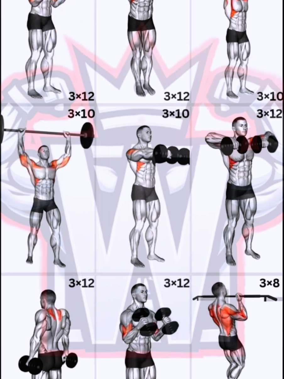 Upper Body Workout |Shoulders, Biceps & Back Training Upper body workout focusing on shoulders, biceps, and back! 🔥 Build muscle, strength, and definition with these powerful exercises. Perfect for fitness, bodybuilding, and home or gym training. #upperbodyworkout #shoulderbicepsback #fitnessmotivation #bodybuilding #gymworkout 