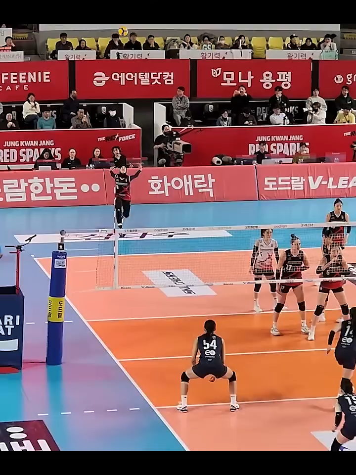 간지나는 메가의 서브에이스, Mega 'Sub ace' yang sangat keren(2024.3.7) #여자배구 #volleyball #정관장 #mega #megawati