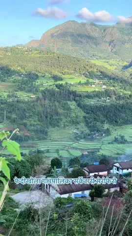 फेदीखोला गाऊपालिका सर्केटारी सेरोफ़ेरो #phedikholaruralmunicipality#phedhikhola_syanja #syangjalimuser #पोखरा_नेपाल @Krishna.subedi @घनश्याम सुवेदीको सचिवालय। @Dilip Paudel @🇳🇵मिथुन🇳🇵 @Arjun Sapkota 