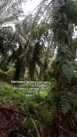 dari jam 7 sampai jam 2 ,  orang sawit pasti faham 🥰 #pesonakulisawit 