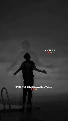 😭🤌❤️‍🩹#jawibila🌊 #jawiga_jawiyada_eryaday🌴🍁 #AYUUB❤️🤴🏼 #musiclyrics #somalitiktok12 