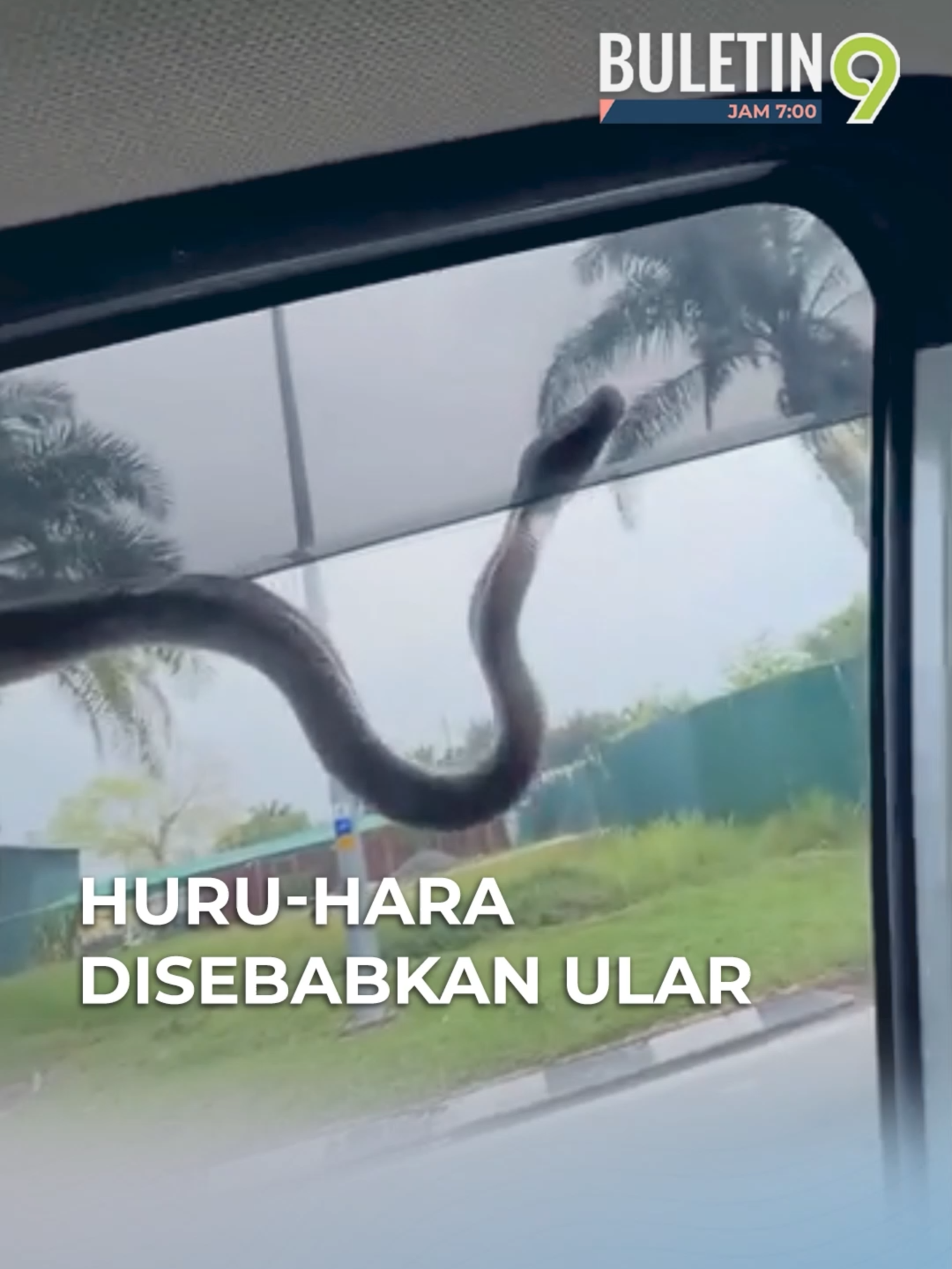 Aduhai...riuh sekampung gara-gara ular tepi tingkap kereta. #BuletinTV9 #tular #ulartepitingkap #dekatdihati