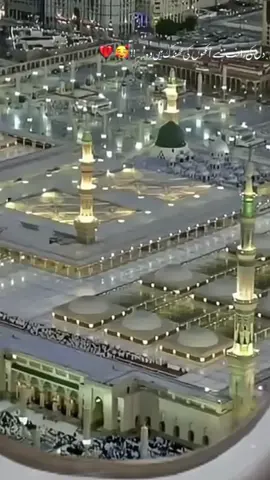 ❤️❤️❤️❤️🌹🌹🌹🌹🌹