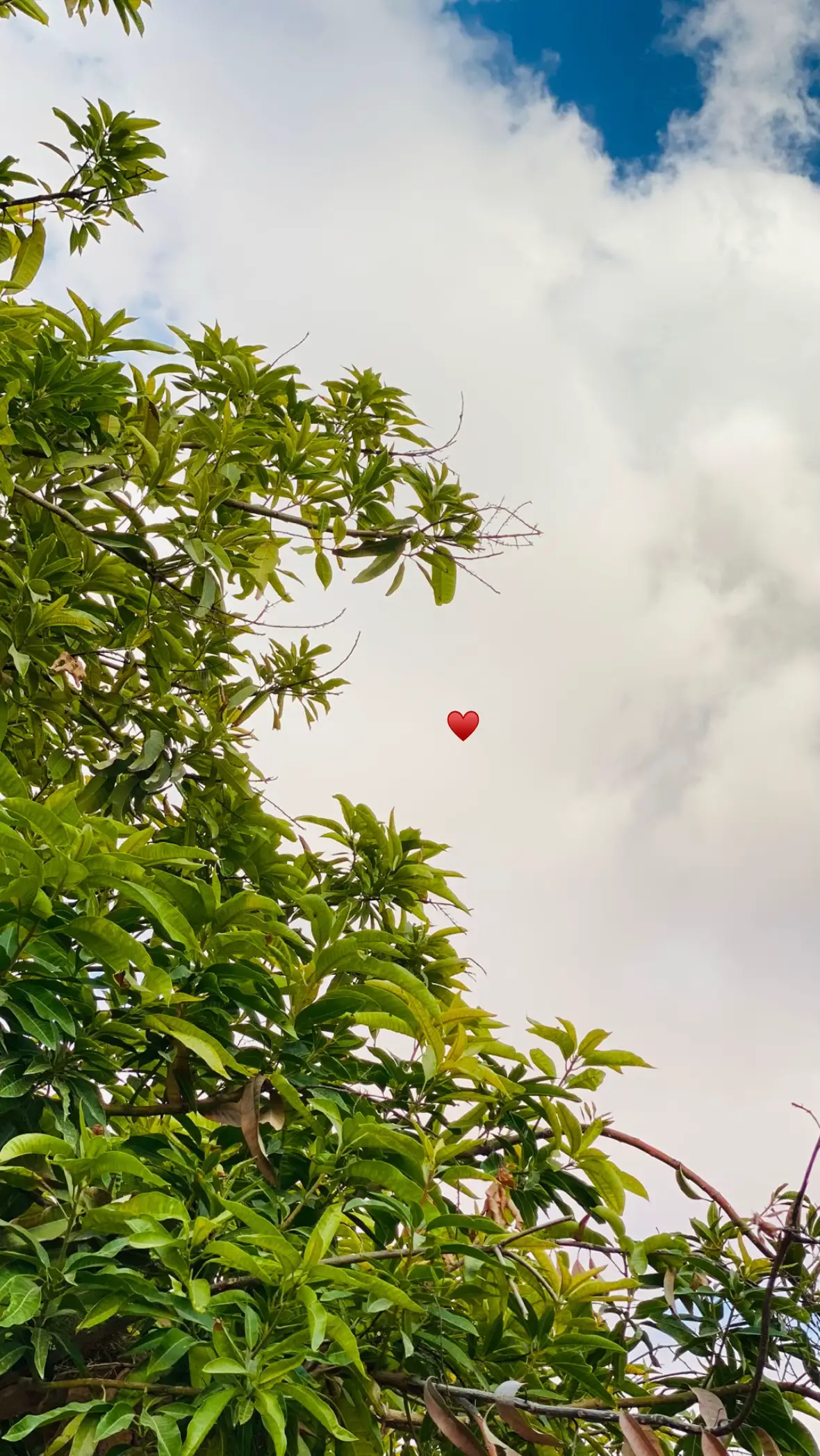 #سودانيز_تيك_توك #ليبيا🇱🇾طرابلس❤️🇱🇾بنغازي❤️🇱🇾_مصراتة_غريان 