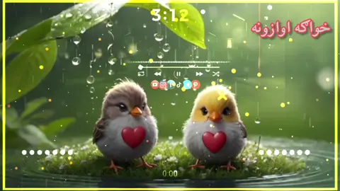 #creatorsearchinsights زه به مړ يمه جانانه چې رازي #fyp #pashtonaat #پشتون_تاجیک_هزاره_ازبک_زنده_باد🇦🇫 @Hafiz Ihsan ullah 