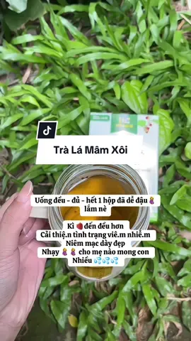 Chị em phụ nữ nên chăm sóc sức khoẻ bên trong mình nha #xuhuong #tralamamxoi #mamxoirung #hiemmuon #hiemmuonmongcon  @Trịnh Ngọc Ánh ✨  @Trịnh Ngọc Ánh ✨ 