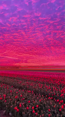 sunset 🌄✨🫶#sunset #fyp 